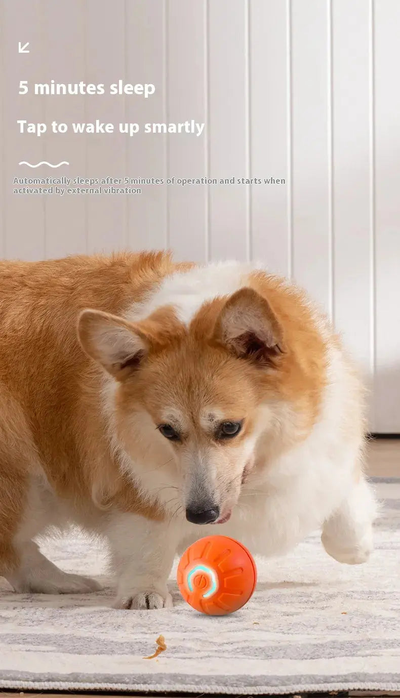 Smart Dog Toy Ball Convenient store