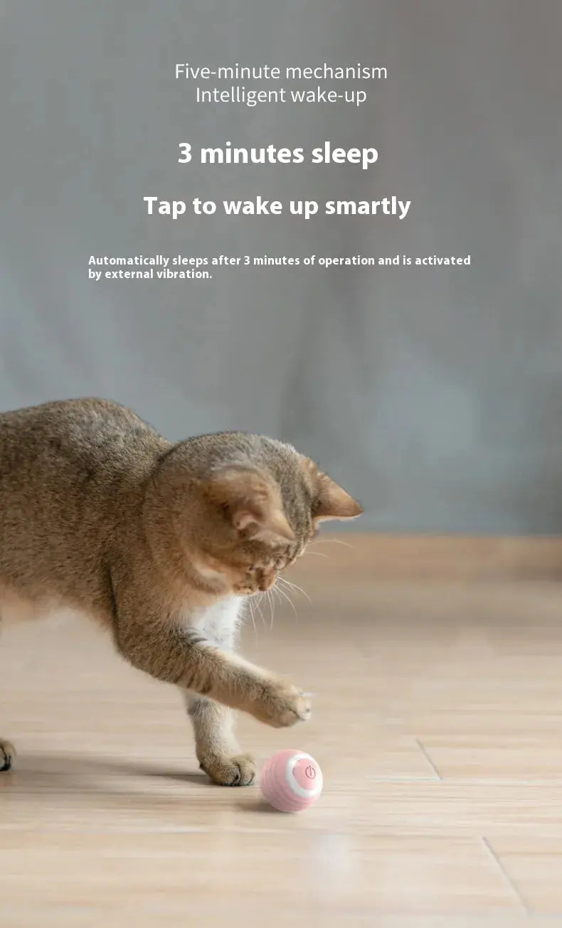 Smart Dog Toy Ball Convenient store