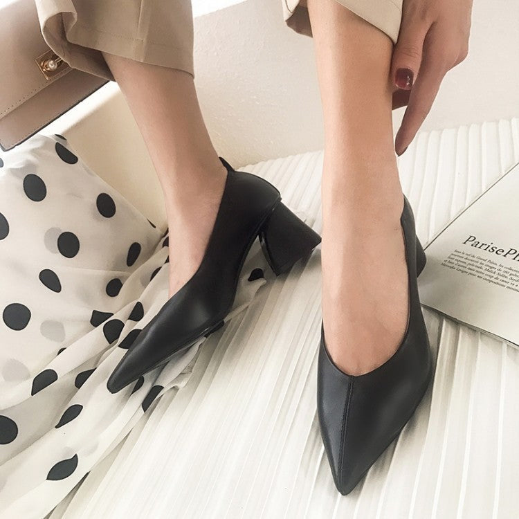 Pointy Toe Comfortable High Heels - Convenient store