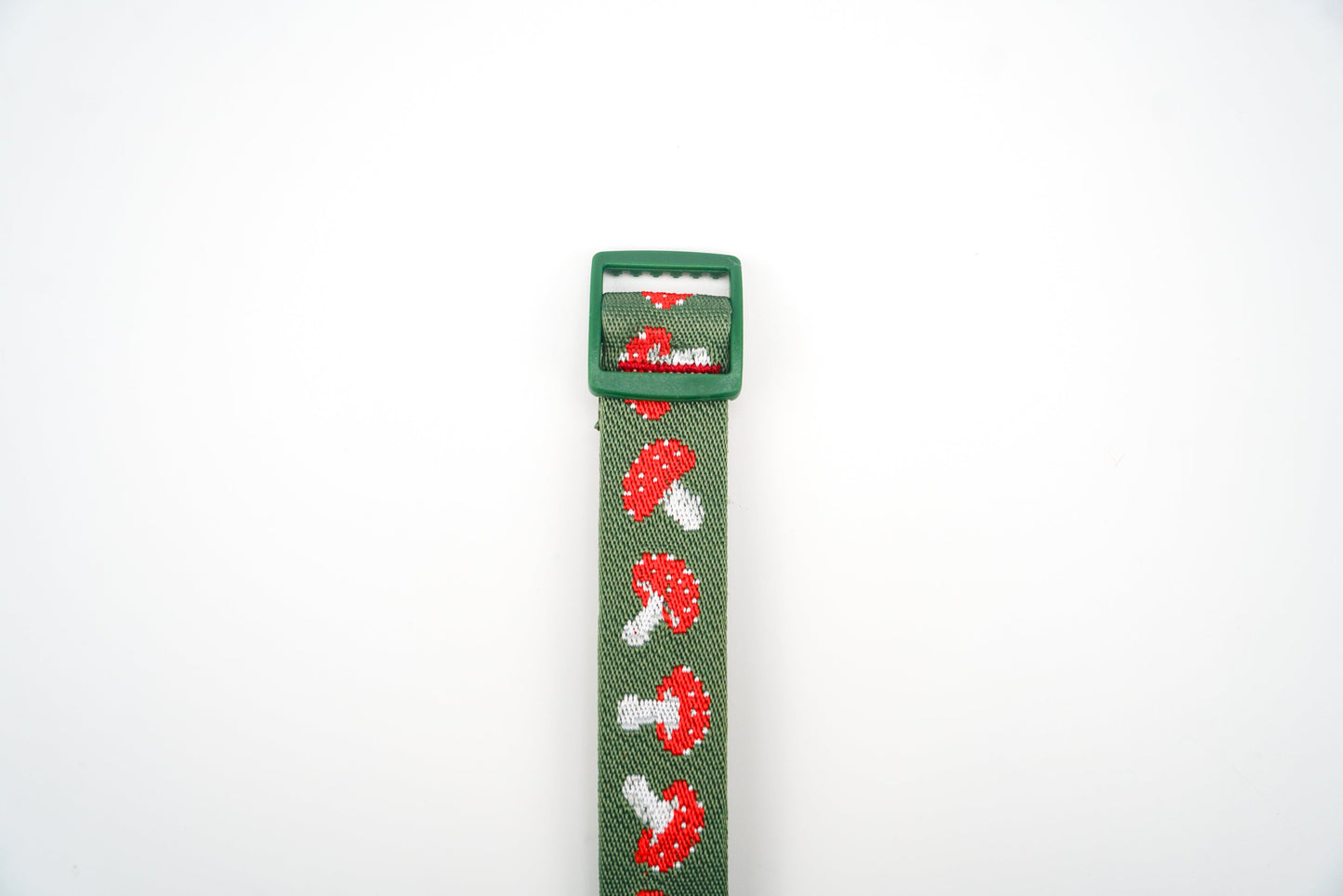 Mushroom - Convenient store