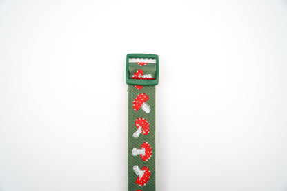 Mushroom - Convenient store