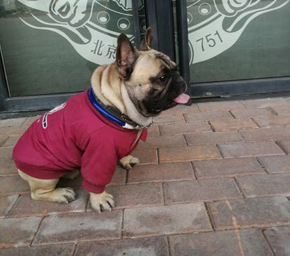 Jacket Cotton Plus Fleece Pet Sweater - Convenient store