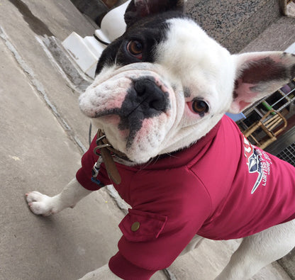 Jacket Cotton Plus Fleece Pet Sweater - Convenient store