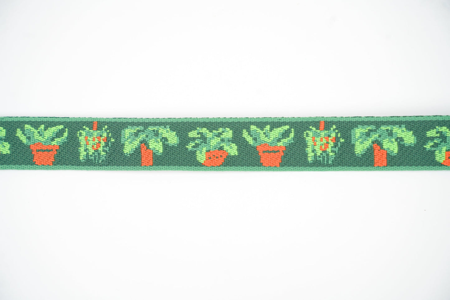 Houseplants - Convenient store