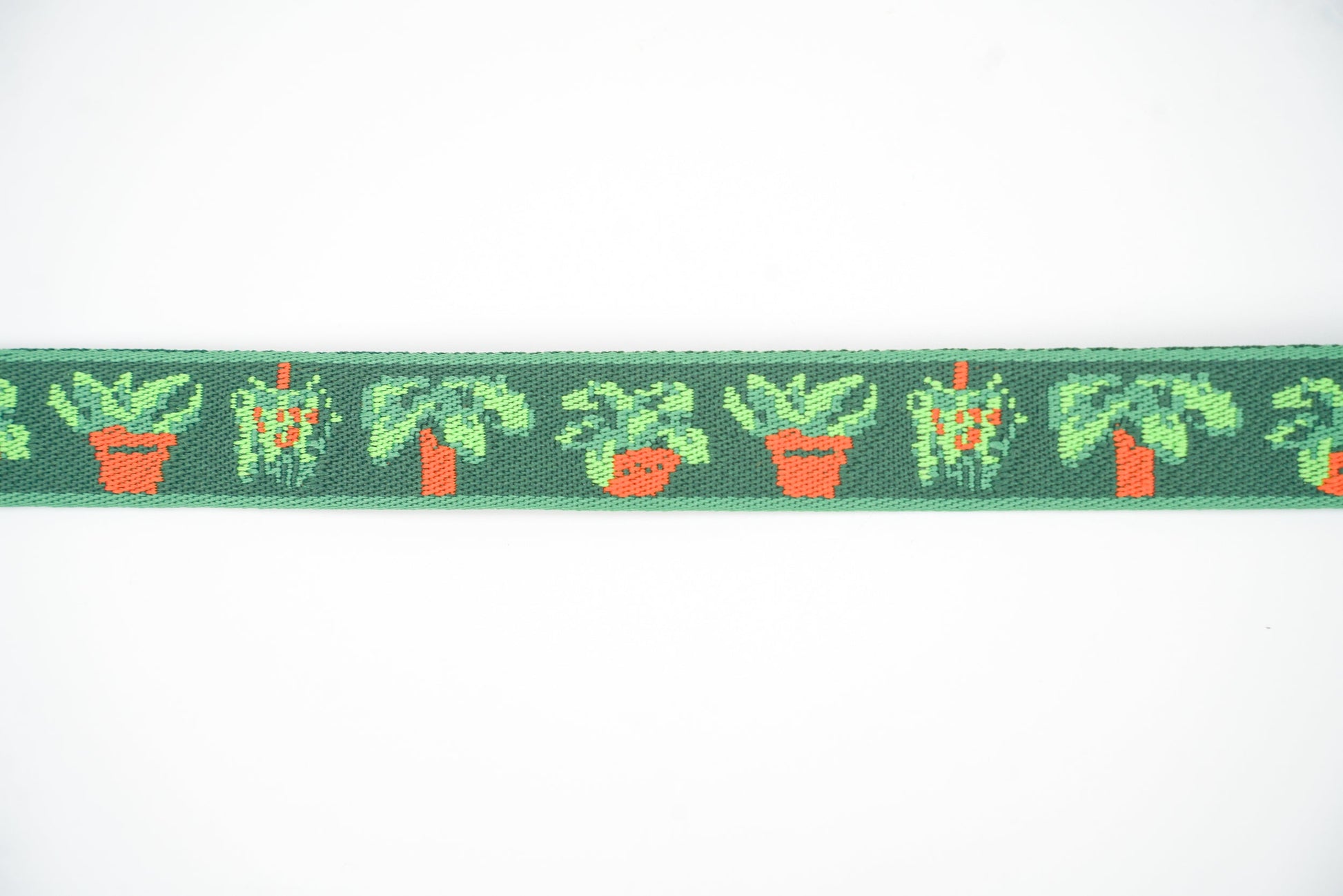 Houseplants - Convenient store