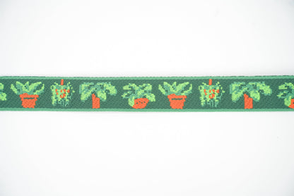 Houseplants - Convenient store