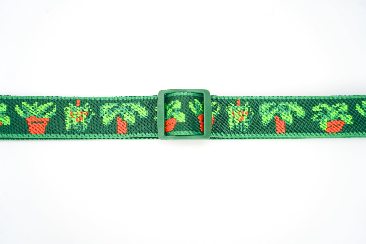 Houseplants - Convenient store