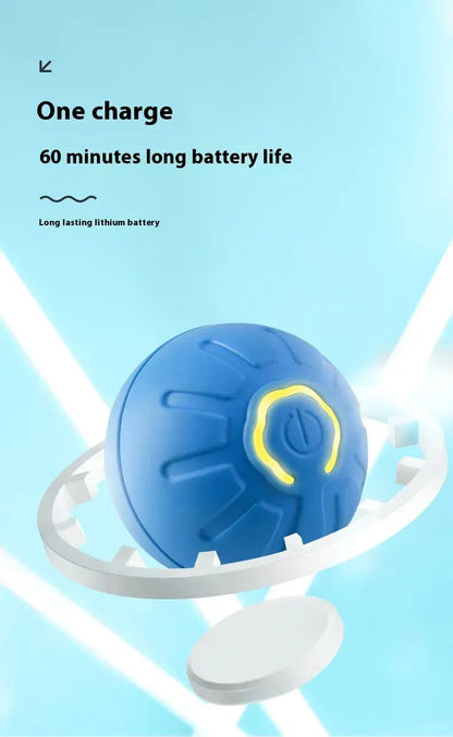 Smart Dog Toy Ball Convenient store