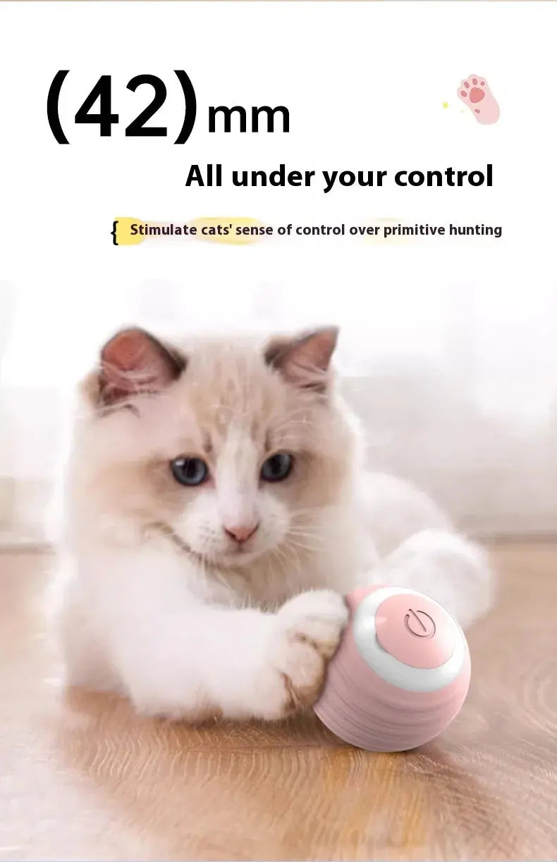 Smart Dog Toy Ball Convenient store