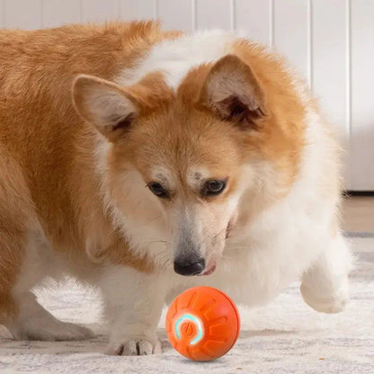 Smart Dog Toy Ball Convenient store