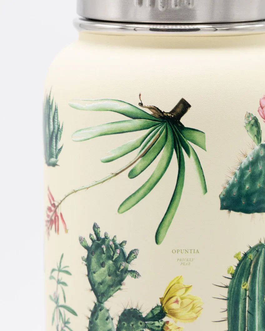 Water Bottle 32oz - Cactus & Succulents
