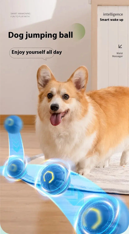 Smart Dog Toy Ball Convenient store