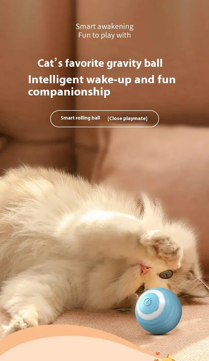 Smart Dog Toy Ball Convenient store
