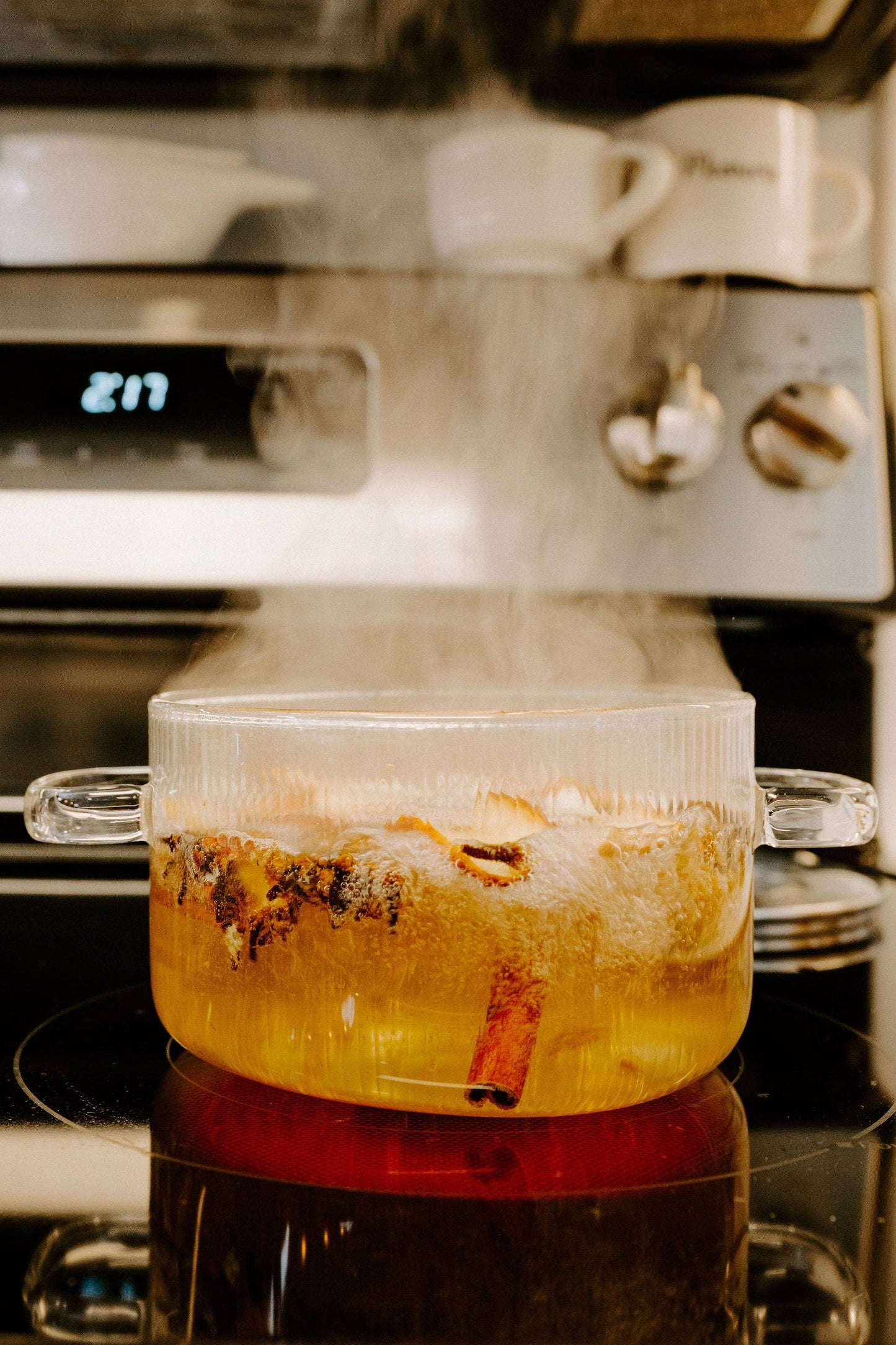 Spa Day Simmer Pot | Lemon Lavender Eucalyptus