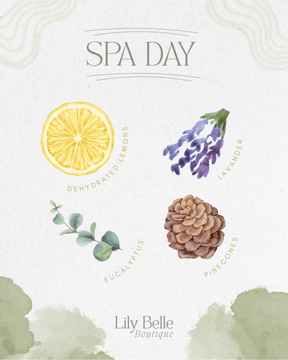 Spa Day Simmer Pot | Lemon Lavender Eucalyptus