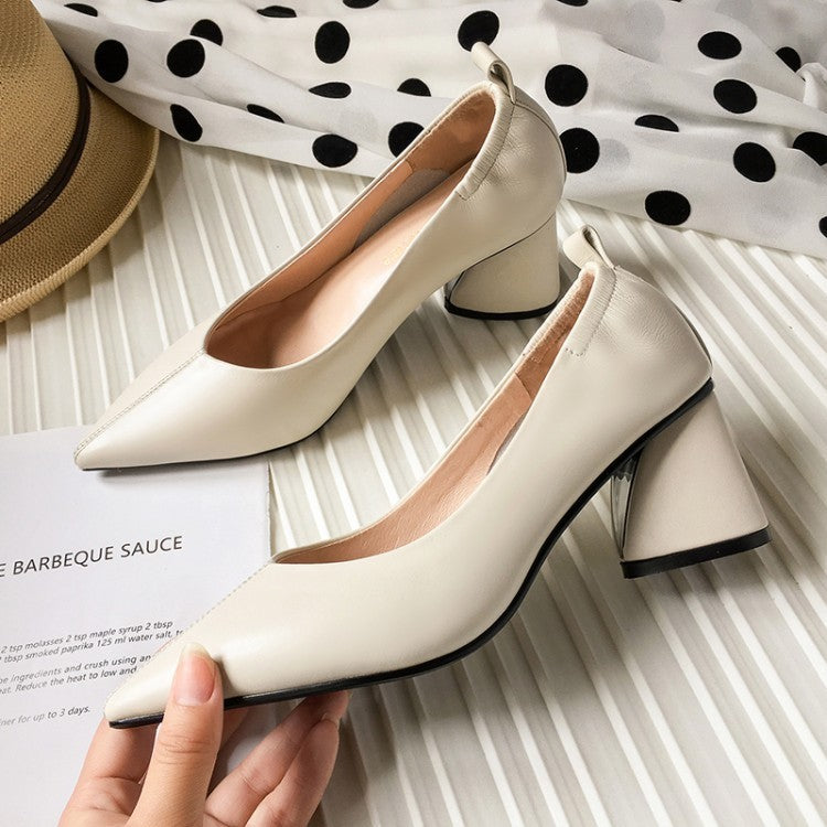 Pointy Toe Comfortable High Heels - Convenient store