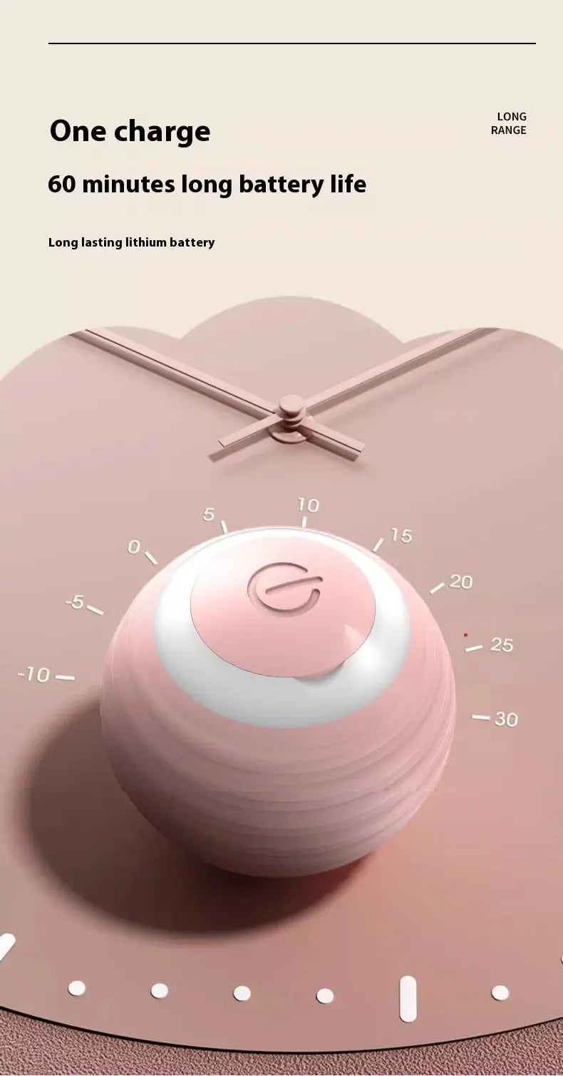 Smart Dog Toy Ball Convenient store
