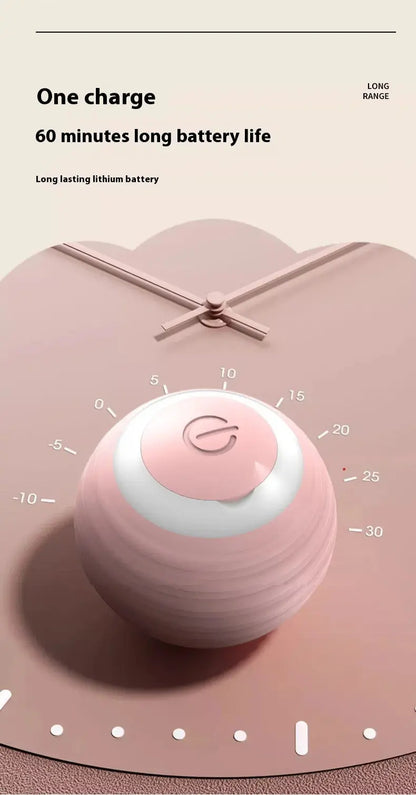 Smart Dog Toy Ball Convenient store